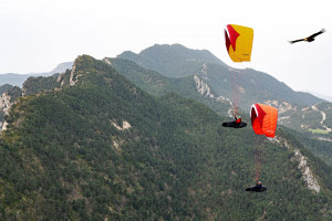 Parapente GIN AVID