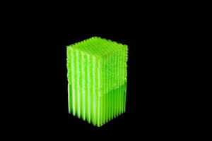 Insert protection NEO KOROYD