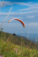 Parapente NOVA MENTOR 7