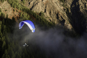 Parapente NOVA MENTOR 7