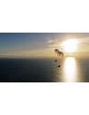 Parapente ADVANCE OMEGA ULS