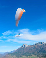 Cocon NEO RACE UP